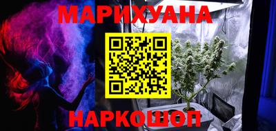 крисы Новокубанск