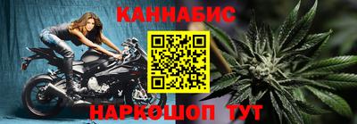 крисы Новокубанск