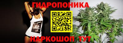 крисы Новокубанск