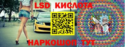 крисы Новокубанск