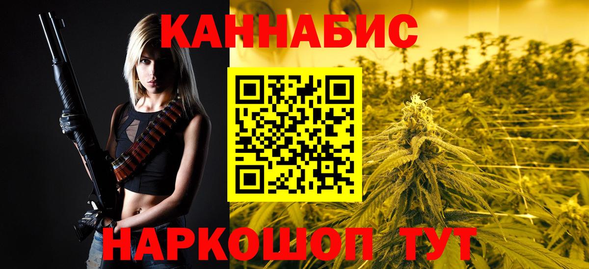 Тара  Бошки марихуана планчик  Вход с VPN  МАРИХУАНА OG Kush 